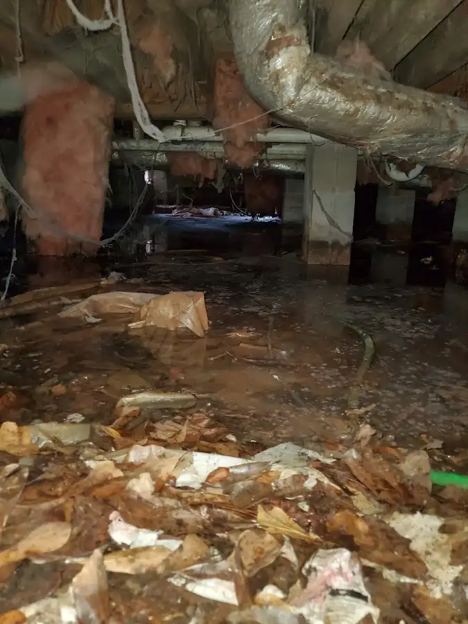 Crawl space flood assessment for Leak Detection & Repair in Brookfield